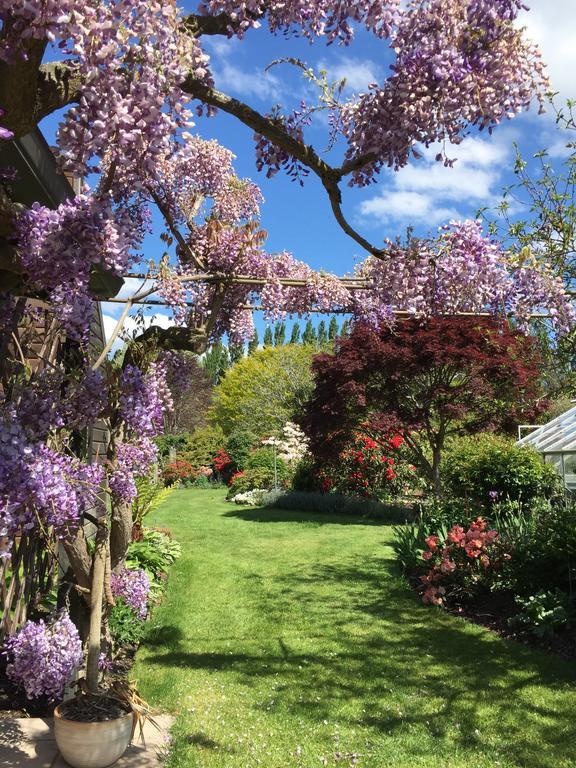 Rhododendron Garden 호텔 크라이스트처치 외부 사진