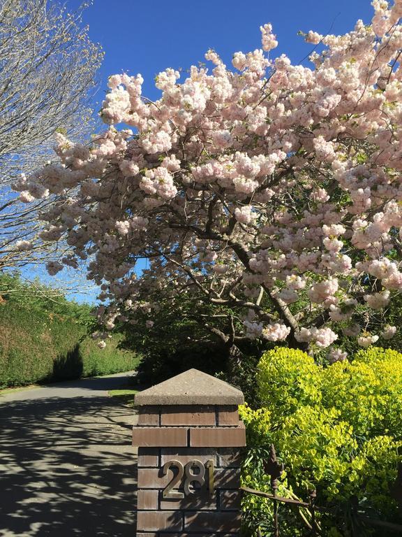Rhododendron Garden 호텔 크라이스트처치 외부 사진