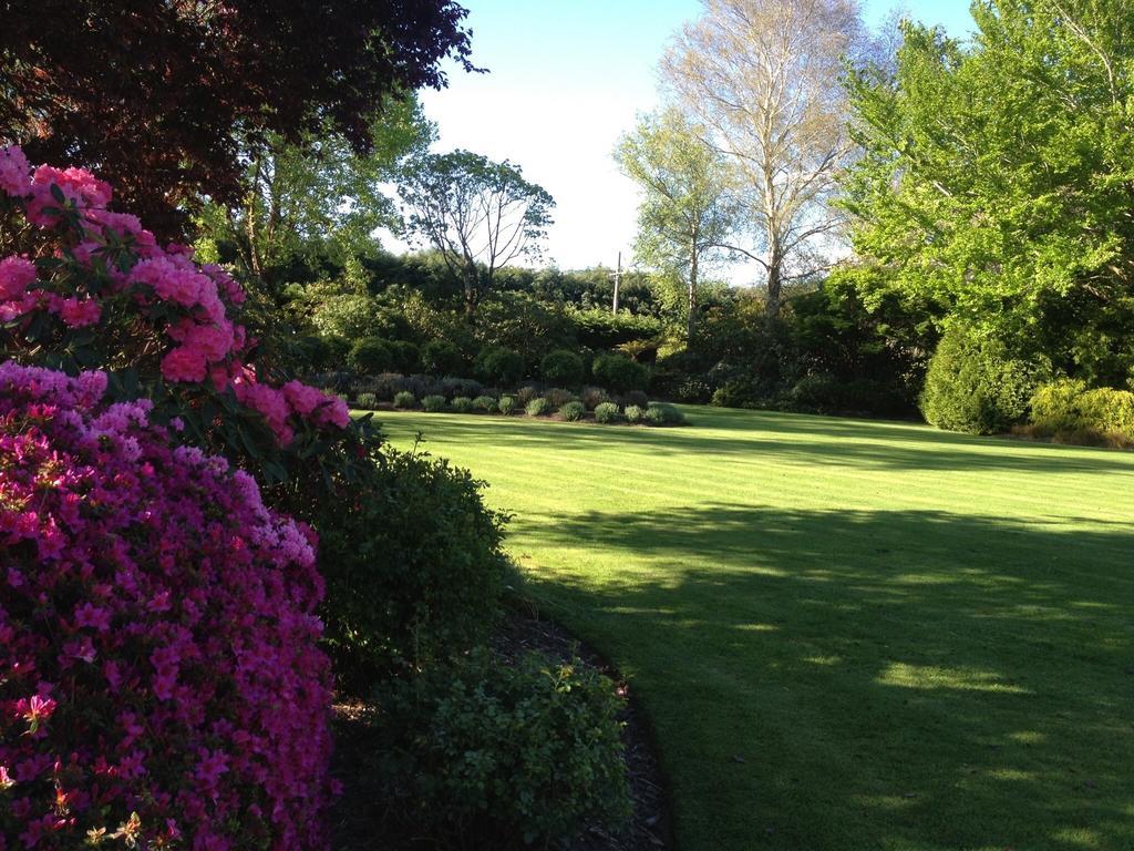 Rhododendron Garden 호텔 크라이스트처치 객실 사진