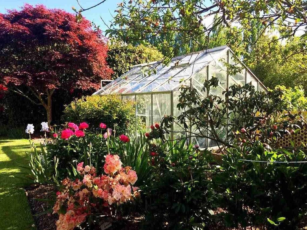 Rhododendron Garden 호텔 크라이스트처치 객실 사진