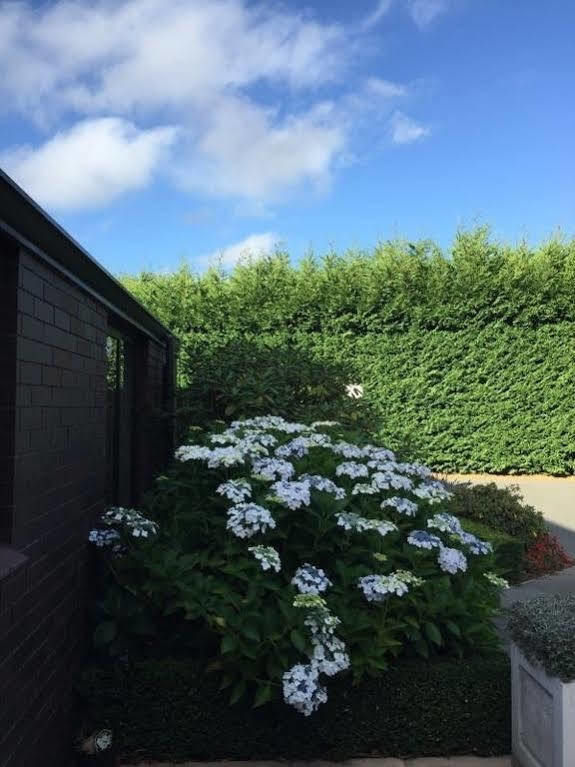 Rhododendron Garden 호텔 크라이스트처치 외부 사진